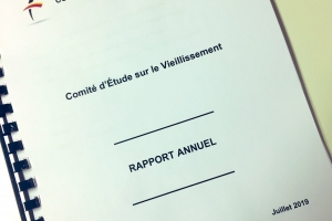 Le rapport annuel 2019 du Comité d’étude sur le vieillissement confirme les effets positifs de la réforme des pensions